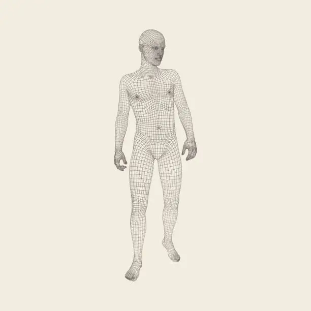 Vector illustration of Man Stands on his Feet.3D Model of Man. Geometric Design. 3d Polygonal Covering Skin. Human Body Wire Model. Vector Illustration.