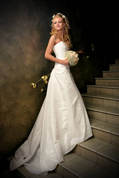 Beautiful  bride stock photo
