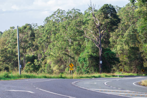 country road with street signs green grass on a sunny day - tranquil scene sky street road imagens e fotografias de stock