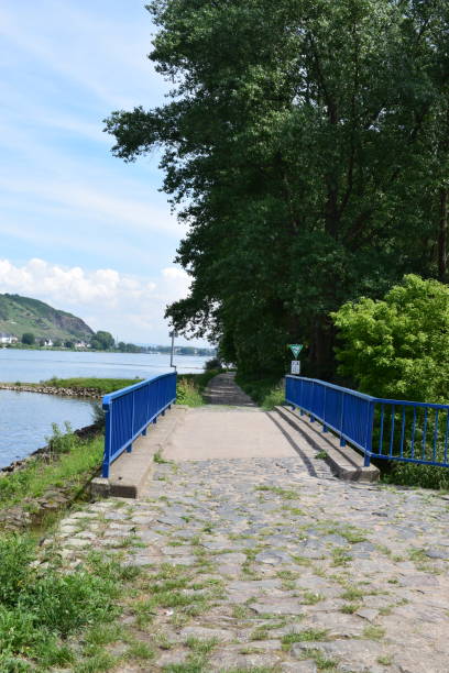 istock bridge of hiking way in spring forest 968951520