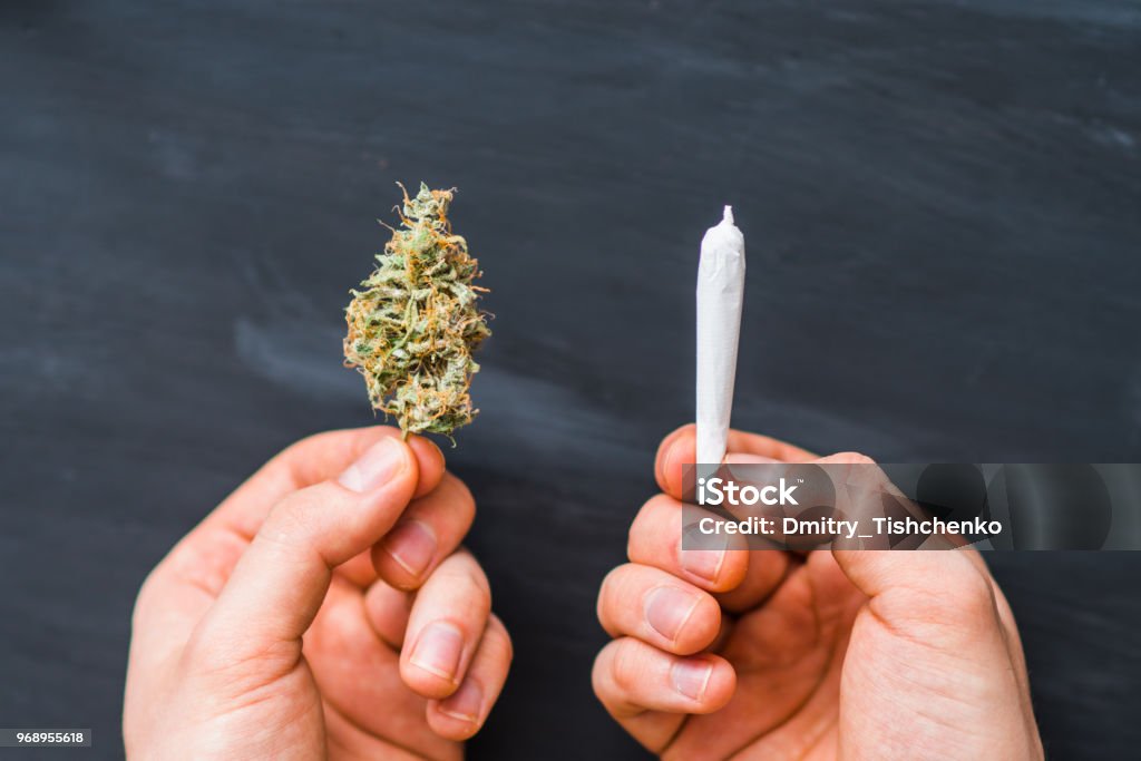 Курение марихуаны почки семядоли конопли
