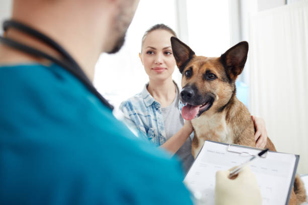 visita de veterinario - dog pets advice women fotografías e imágenes de stock