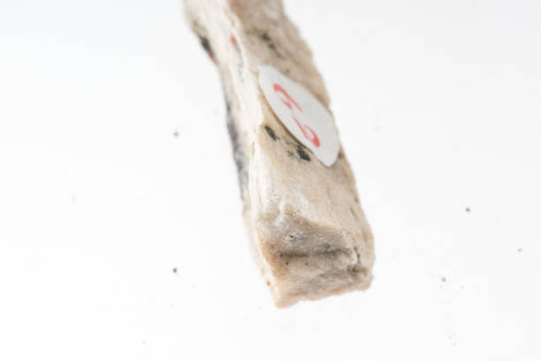 istock wollastonite mineral sample studio shot with white background 968955996