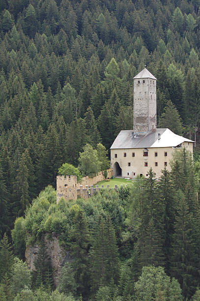 istock Catello in the green 96895826