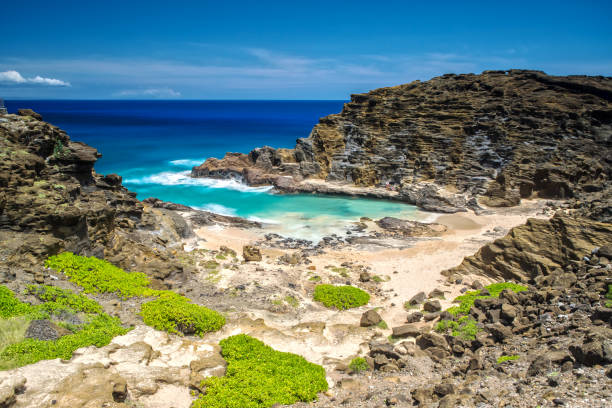 istock Cockroach Cove on Oahu, Hawaii 968960856