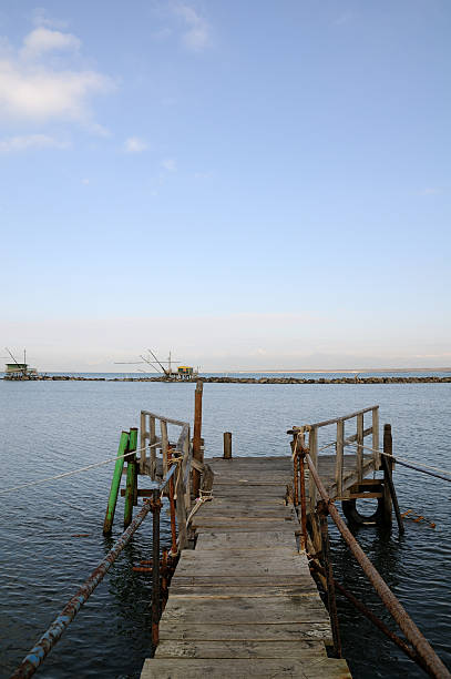 arno - marina di pisa imagens e fotografias de stock