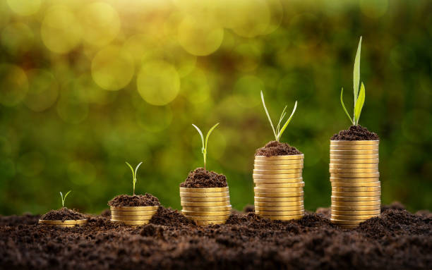 Investment concept Investment concept, rising coins chart with growing plants over defocused nature background stable stock pictures, royalty-free photos & images