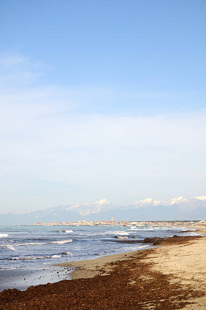 beach - marina di pisa imagens e fotografias de stock