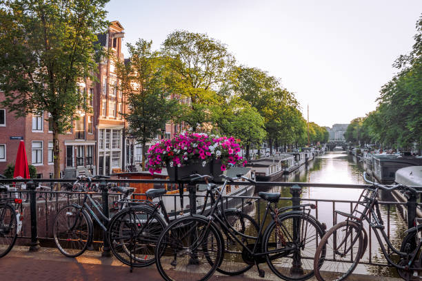 istock sunrise on the streets and canals of amsterdam 968965564