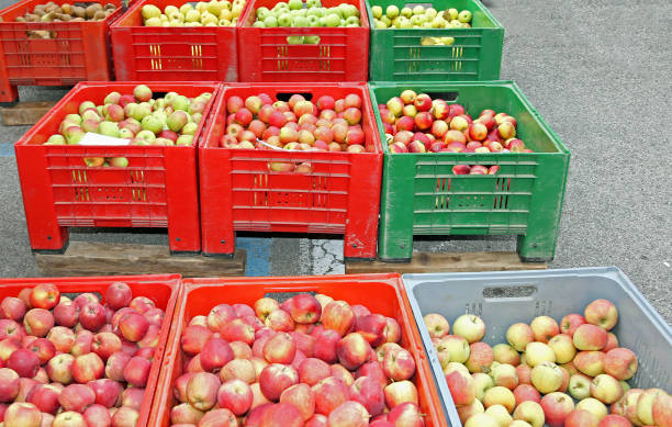 istock boxes of fruit with the ripe apples 968973080