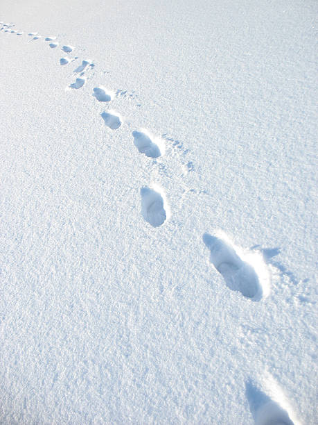 istock Lonely trace of  person on white snow floor. 96897412