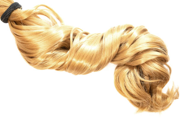 istock long blond hair ponytail on white background 968979752