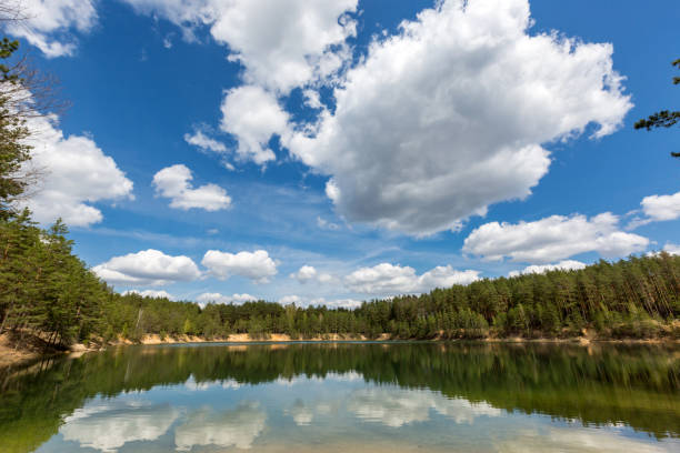 istock lake in pine forest in nice day 968979840