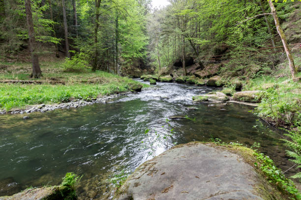 istock Hiking in the Czech Republic, Europe 968980068