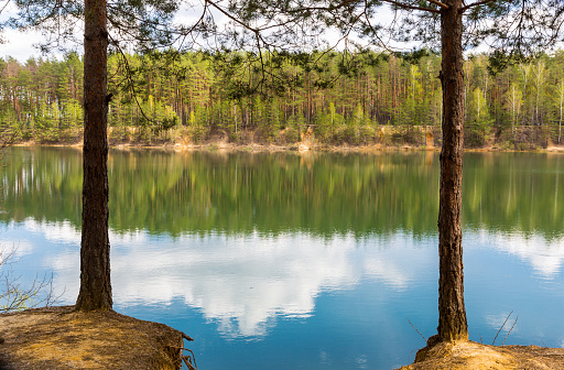 Photograph of a beautiful natural park with a lake surrounded by trees, and abeautiful blue skies.