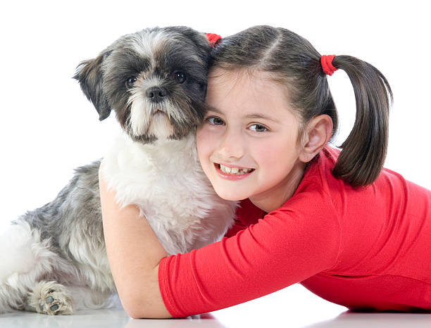 girl and dog stock photo