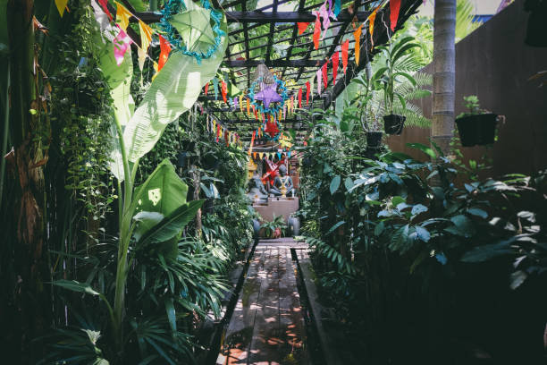 istock Tropical garden in Cambodia 968980292