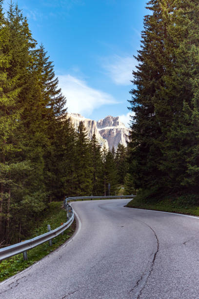 istock empty road at the mountains through the pine forest. dolomites mountains, italy 968981286