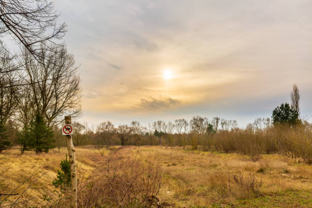 istock Landscape near Berlin, Germany 968984496