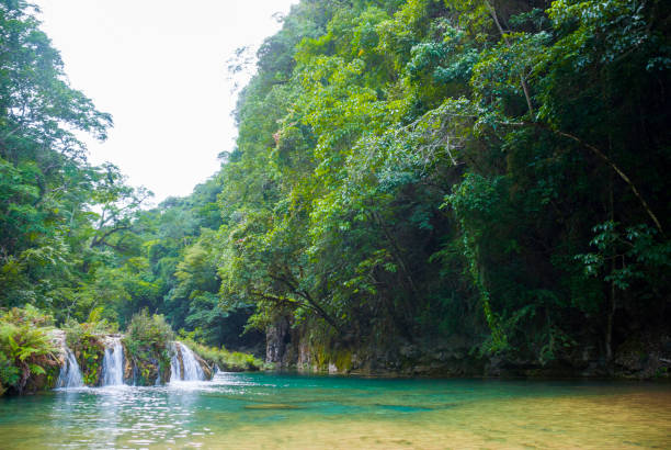 istock Natural Park Semuc Champey, Alta Verapaz, Guatemala. Central america. 968987802