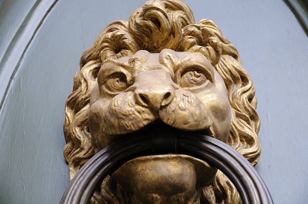 türklopfer - door knocker door lion luxury stock-fotos und bilder