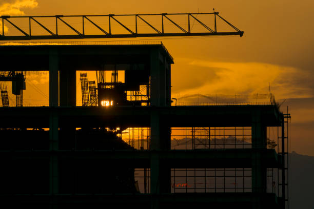 Construction of building between trees Guatemala City, silhouette at sunset.