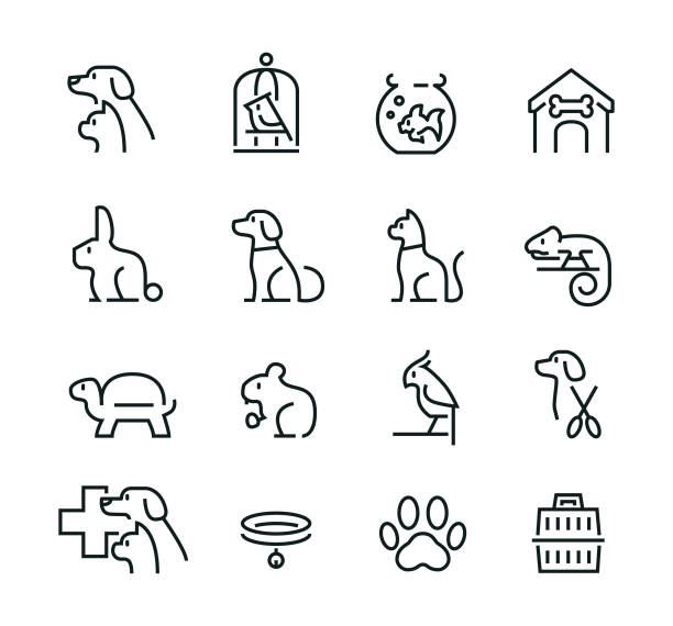 ilustrações de stock, clip art, desenhos animados e ícones de minimal thin line pet icon set - rabbit vector black composition