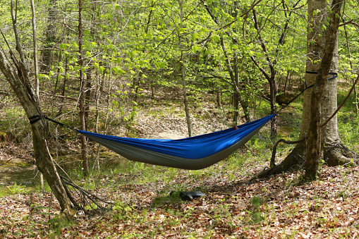 Person sleeping in Blue Hammock in the Woods Camping