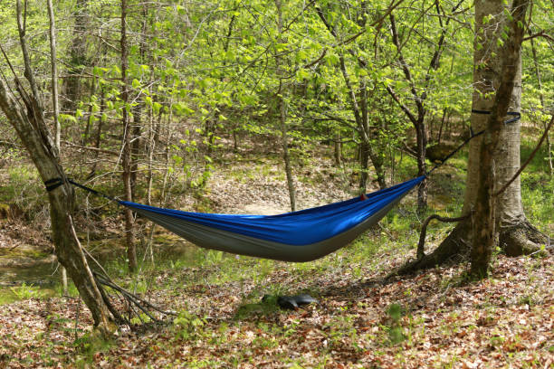 Person sleeping in Blue Hammock in the Woods Camping stock photo