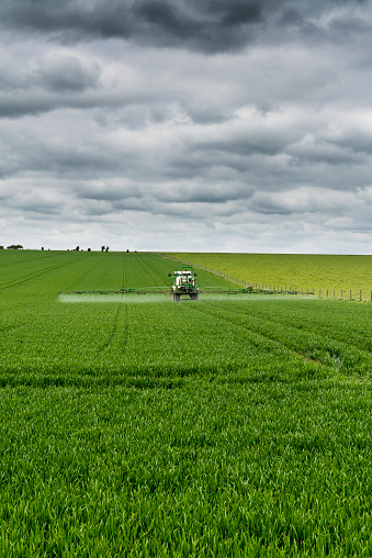 Tractor spraying the green field under cloudy sky