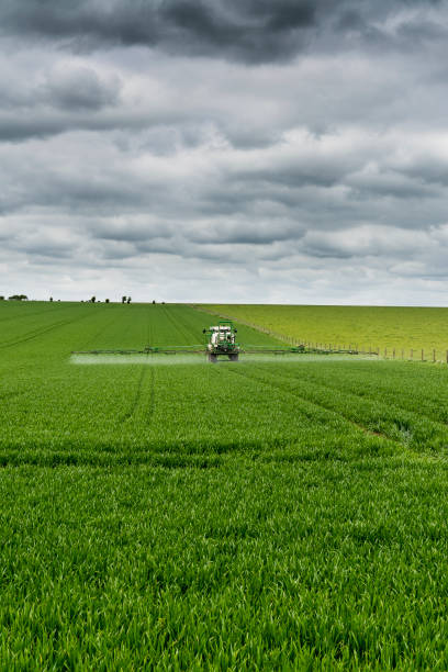 трактор распыления зеленого поля - spraying crop sprayer farm agriculture стоковые фото и изображения