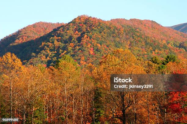 색 The 코브 0명에 대한 스톡 사진 및 기타 이미지 - 0명, 가을, 국립공원