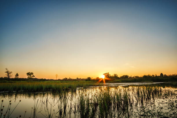 istock Sunset at the lake landscape 968996080