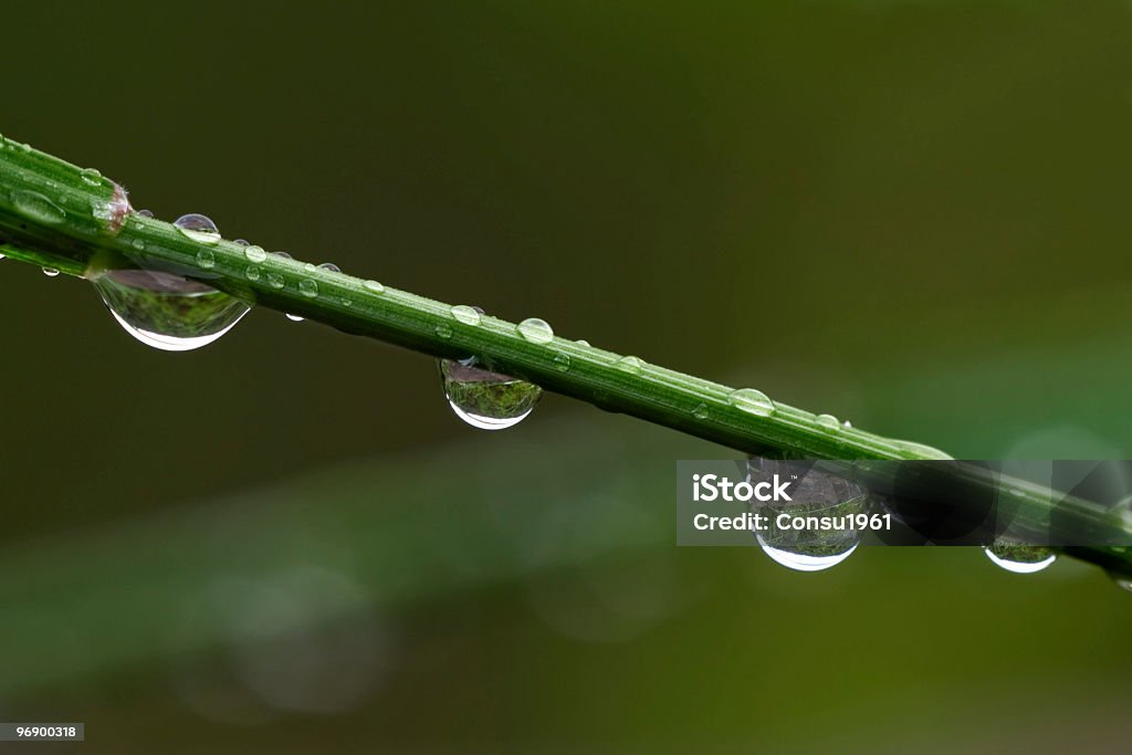 Gotas de agua - Foto de stock de Agua libre de derechos