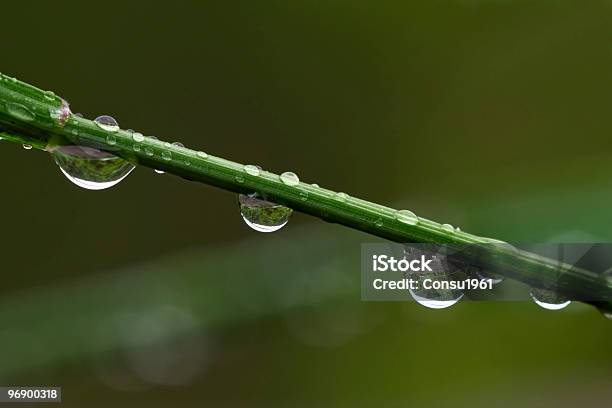 Gotas De Agua Foto de stock y más banco de imágenes de Agua - Agua, Color - Tipo de imagen, Fotografía - Imágenes