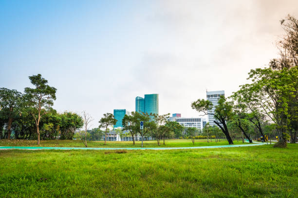 istock Green grass field with building in Public Park 969004698