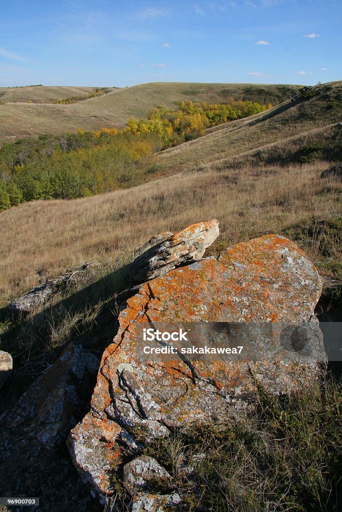 Bela algas Cover Rock com vista para Coulee - Foto de stock de Alga royalty-free
