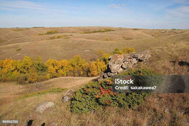 Panoramico Con Strisciante Cedar - Fotografie stock e altre immagini di Ambientazione esterna - Ambientazione esterna, Aspen - Colorado, Badlands