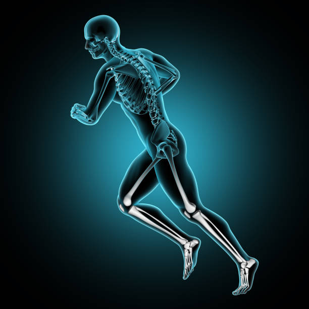 istock 3D male medical figure running with leg bones highlighted 969007878