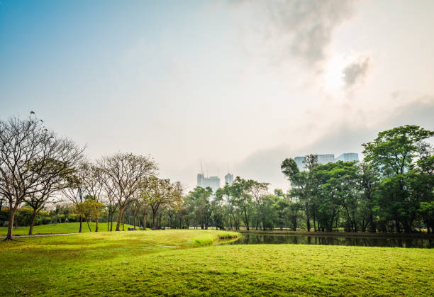 istock Green grass field with lake in Public Park 969008402