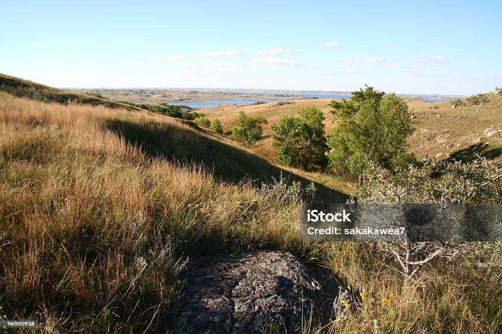 Prairie Coulee Scene Rock surrounded by a sea of grass overlooking a coulee of trees and grasslands. Dakota - Illinois Stock Photo