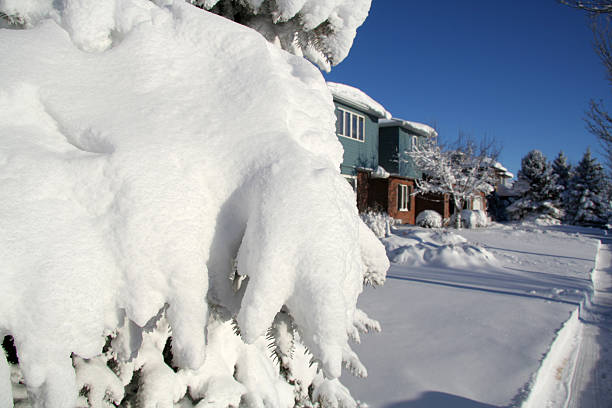 árbol y de residencia con nieve - north dakota fotografías e imágenes de stock