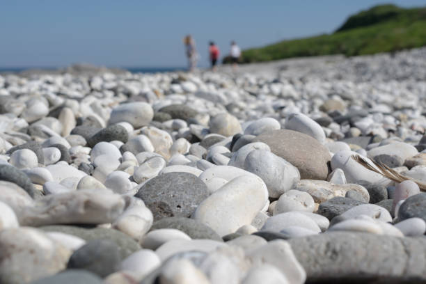 istock Close up of a pebble beach on a sunny day 969013242