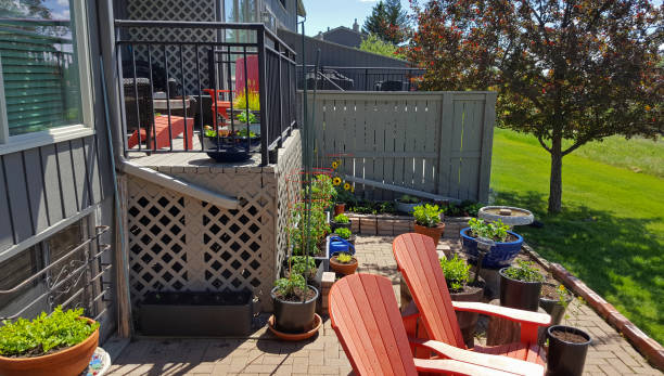 istock Container Gardening On The Deck And Patio 969026438