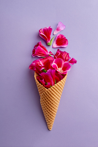 Flower petals in an ice cream cone on a purple background. Summer refreshment concept. Top view. Copy space