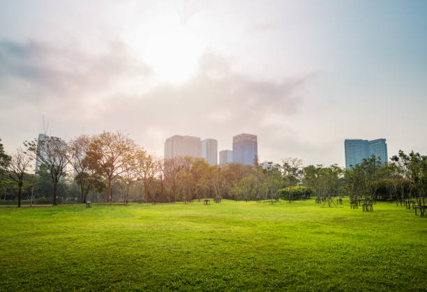 istock Green grass field with building in Public Park 969027534