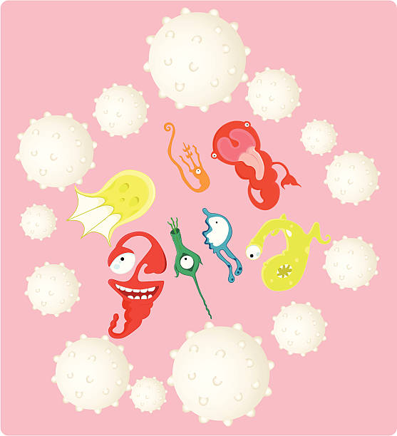 illustrazioni stock, clip art, cartoni animati e icone di tendenza di sistema immune e umano - blood cell cell human cell animal cell