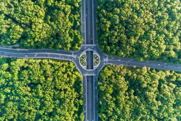 Time lapse aerial view looking down on traffic circle in the middle of a beautiful forest. The scene is situated in Sofia, the capital city of Bulgaria (Eastern Europe). The picture is taken with DJI Phantom 4 Pro video drone.