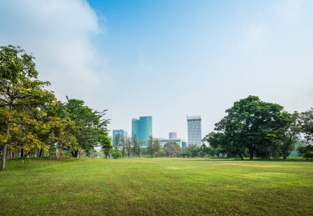 istock Green grass field with building in Public Park 969032516