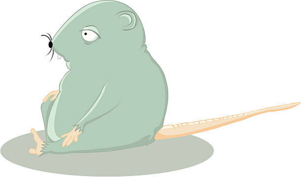 Rato de gordura - ilustração de arte em vetor